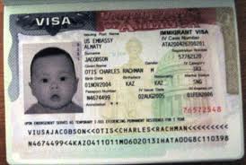 Visa us Official US